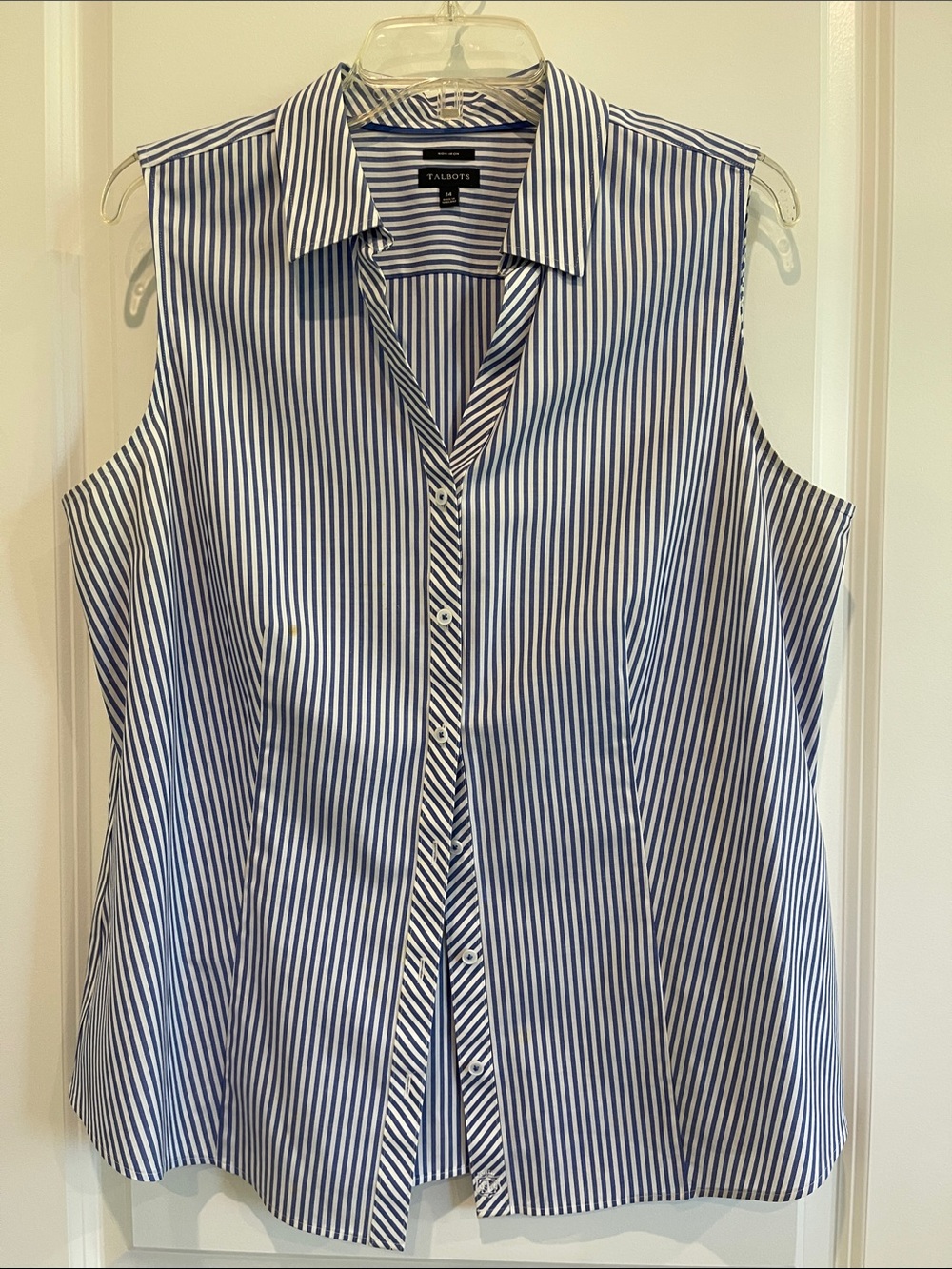 Talbots Blue and White Striped Sleeveless Button-Down Top